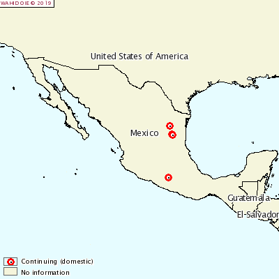 Aujeszky Mexico