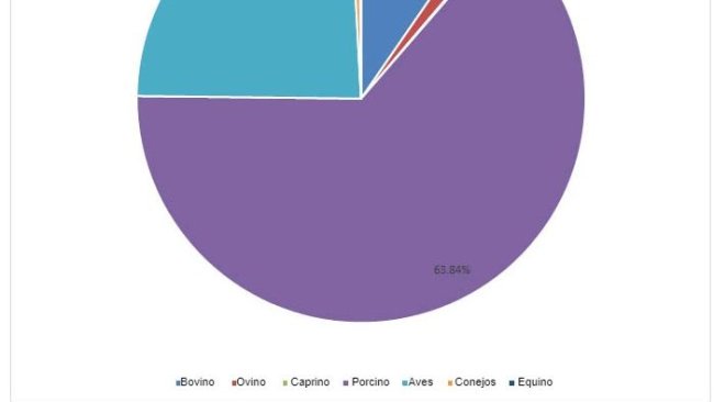 Hiszpańska produkcja mięsa w 2019r.