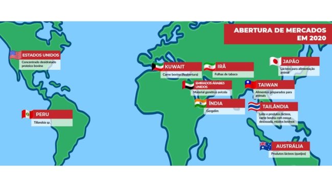 źródło: MAPA/Brasil 2