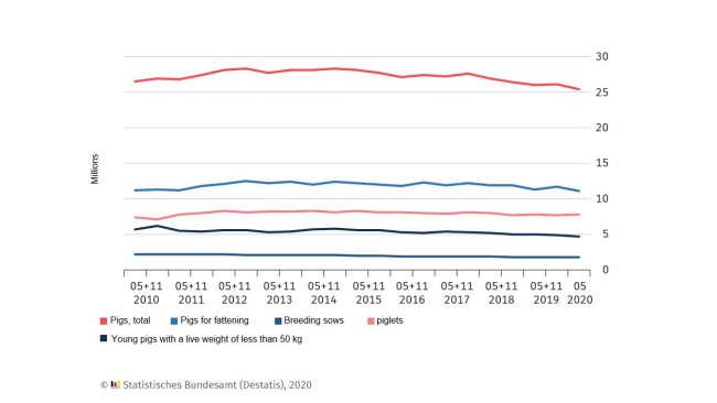 Pig population in Germany. The survey reference dates are 3 May and 3 November of each year; May 2020: provisional results.