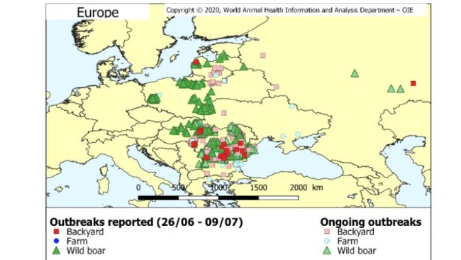ASF outbreaks from June 26 - July 7, 2020. Source: OIE