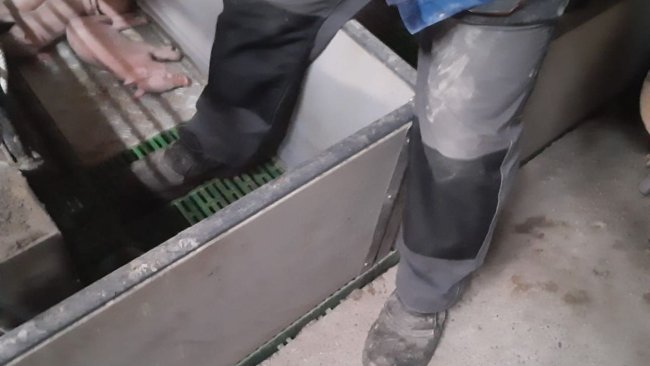 Fot. 1: Zminimalizuj wchodzenie do kojców porodowych. Dzięki uprzejmości: Ramaderies Duch. 