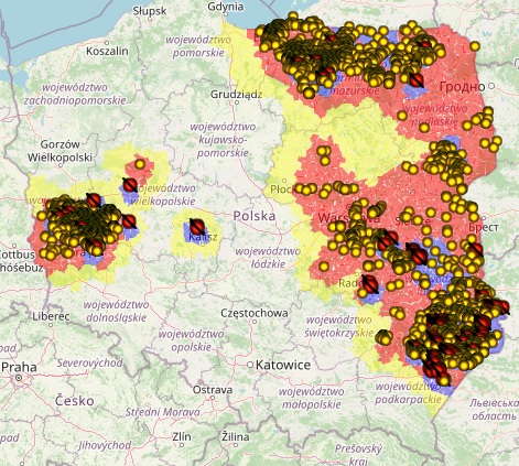 ASF u świń i dzików w 2020r.