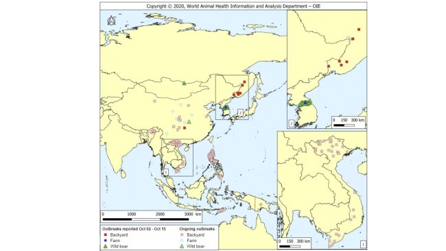 Notified ASF outbreaks within the period (higher intensity colors) and ongoing outbreaks (lighter intensity colors). Source: OIE.