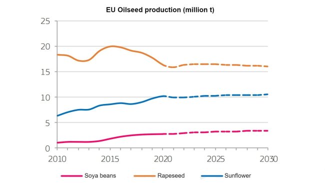 KE (2020), Perspektywy rolnictwa UE dla rynków, dochodu i środowiska, 2020-2030. Komisja Europejska, DG ds. Rolnictwa i Rozwoju Obszarów Wiejskich, Bruksela.