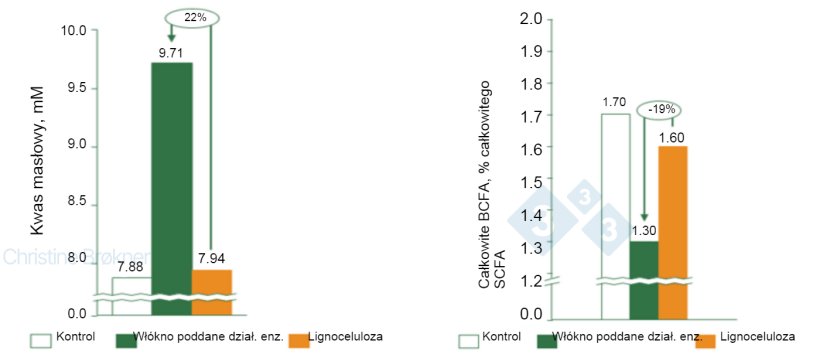 Wykres 1. Kontrola = brak błonnika, Włókno potraktowane enzymem = rozpuszczalny NSP, Lignoceluloza = nierozpuszczalny NSP. (A) Produkcja kwasu masłowego wzrasta o 22% u prosiąt (15 kg) podczas fermentacji rozpuszczalnych włókien. (B) Fermentacja białek zmniejszona o 19% u prosiąt (15 kg) podczas fermentacji rozpuszczalnych włókien. SCFA = krótkołańcuchowe kwasy tłuszczowe, BCFA = rozgałęzione kwasy tłuszczowe.