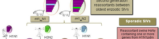 Swine Influenza Viruses detected in European pigs in 2014