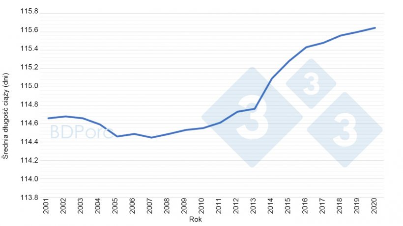 Wykres 2. Średnia długość ciąży loch w Hiszpanii od 2001 do 2020 roku. Źr&oacute;dło: BDPorc.
