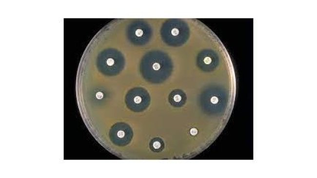 antimicrobial resistance