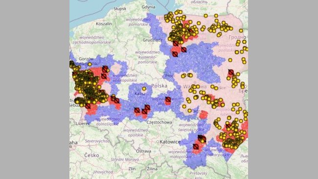 ASF u dzików w 2021r. (żółte punkty). Źródło: GIW