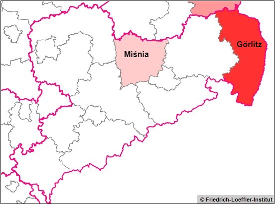 Potwierdzony przypadek ASF u dzika w okręgu Miśnia
