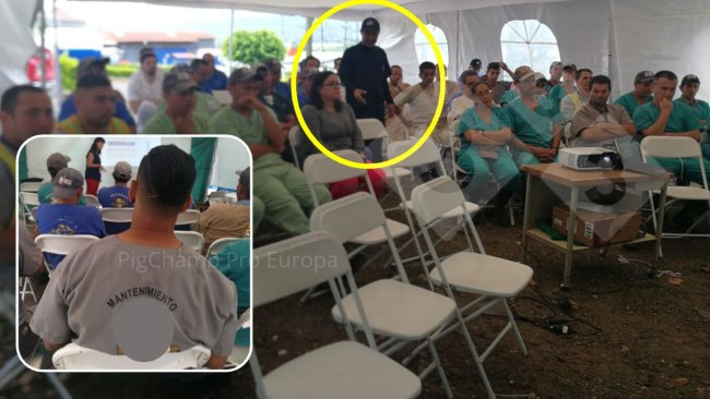 Fot. 2.Wyjątki od kodu kolorystycznego dla ekipy serwisowej i kierownika