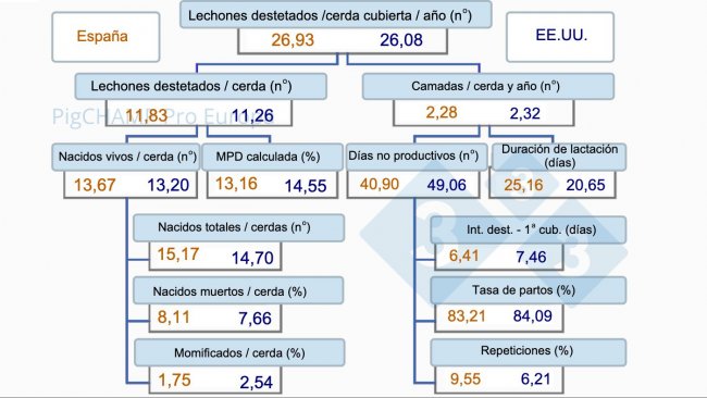 Wykres 1.&nbsp;Drzewo produkcyjności, Hiszpania vs USA, 2019.
