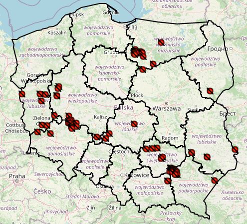 Ogniska ASF w poszczególnych latach 4