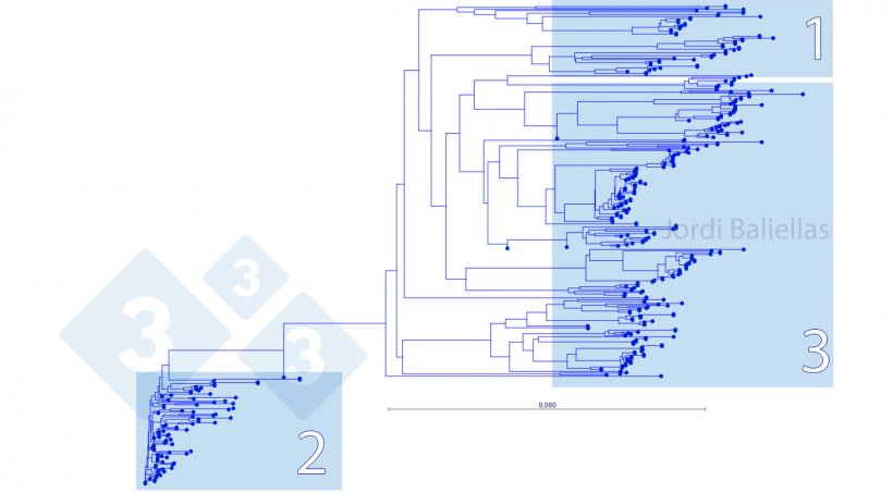 Wykres 5. Drzewo filogenetyczne sekwencji ORF5 wykrytych w latach 2017-2021 w strefie kontroli&nbsp;PRRS
