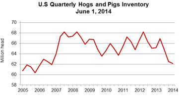 hog inventory