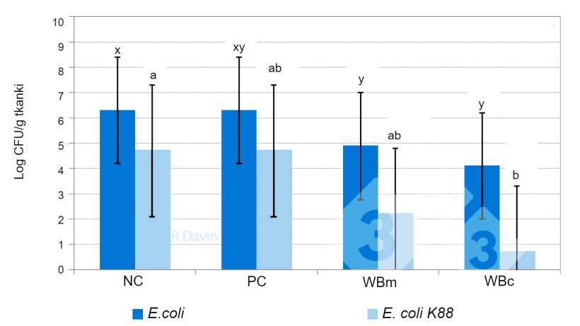 Wykres 1. Całkowita liczba wszystkich&nbsp;E. coli i&nbsp; E. coli K88 przyczepiona do błony śluzowej jelita krętego prosiąt odsadzonych po prowokacji E. coli K88 (zaadaptowane z Molist et al. 2011). x,y&nbsp;R&oacute;żne indeksy g&oacute;rne w słupku wskazują na istotną r&oacute;żnicę między sposobami żywienia (P &lt; 0,05). ab&nbsp;R&oacute;żne indeksy g&oacute;rne w słupku wskazują na istotną r&oacute;żnicę między sposobami żywienia (P &lt; 0,05).
