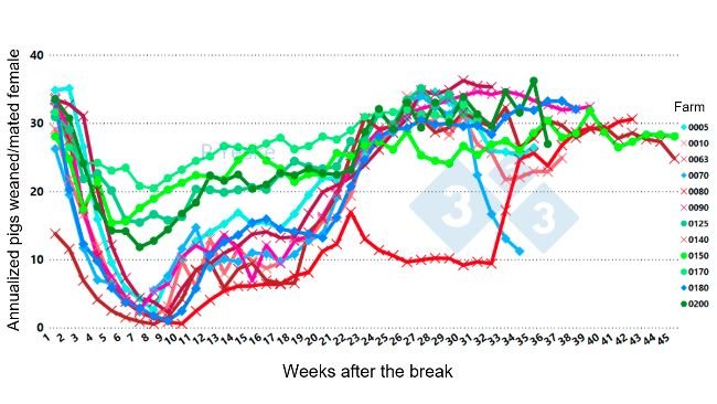 Wykres 2. Pokazuje zmiany w rocznej&nbsp;liczbie świń &nbsp;odsadzonych / samicach krytych po wybuchu PRRSv (1-4-4 wariant L1C w 12 r&oacute;żnych gospodarstwach, demonstrując spadek wydajności trwający do 30 tygodni).

