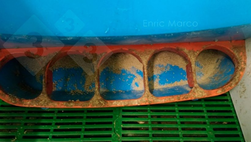 Fot. 1. Podajnik właściwie wyregulowany.
