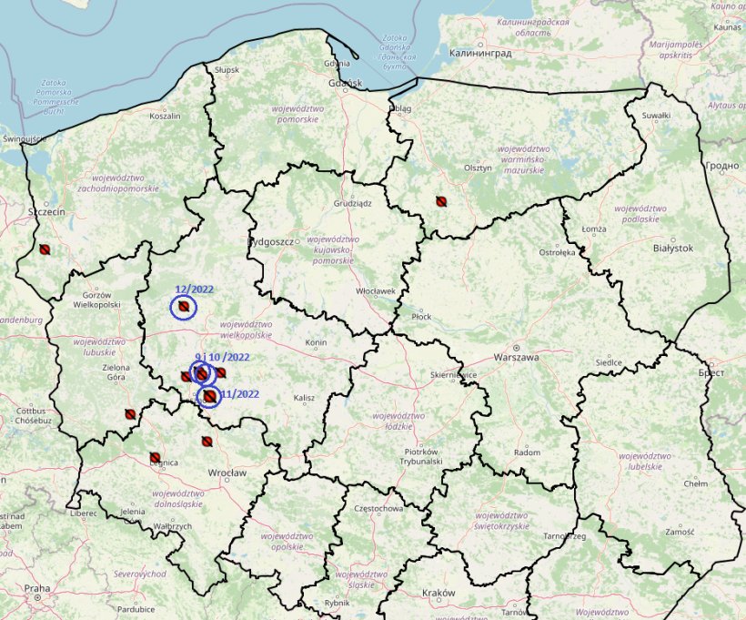 ASF: 9-12 ognisko w 2022r.