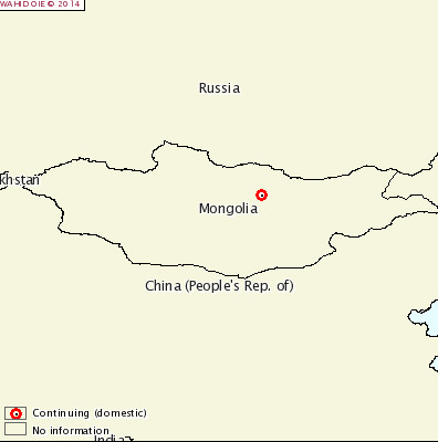 CSF Mongolia