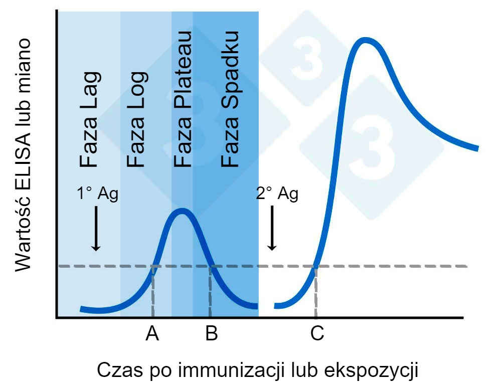<p>Ryc. 2.&nbsp;Wartość ELISA lub miano w okresie po immunizacji.</p>
