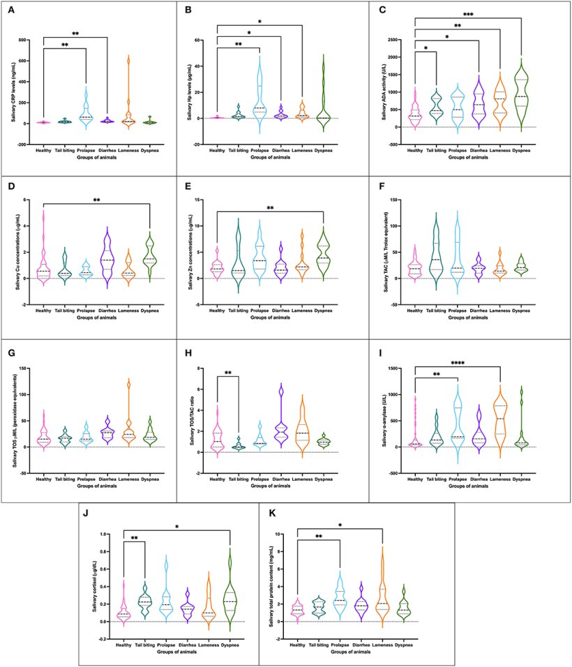 Ryc. 1. Stężenie badanych analit&oacute;w ślinowych [CRP (A), Hp (B), ADA (C), Cu (D), Zn (E), TAC (F), HRT (G), stosunek HRT/TAC (H ), alfa-amylaza ślinowa (I) kortyzol (J) i TP (K)] u zdrowych świń (n = 40) i zwierząt ze stanem patologicznym
