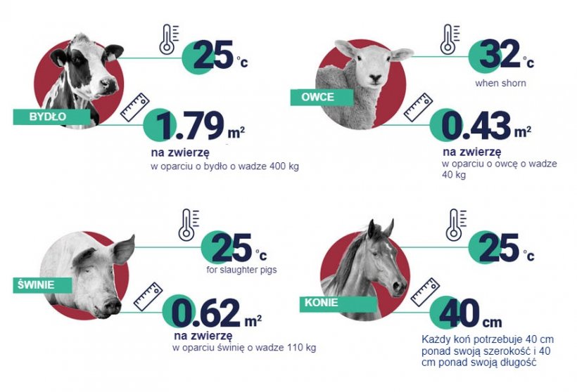 Recommended space and temperatures per animal. Source: EFSA.
