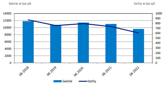 Wykres 1. Pogłowie świń w Polsce ogółem i samych loch w okresie ostatnich 5 lat. Źródło: Główny Urząd Statystyczny