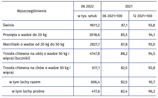 Tabela 1. Pogłowie świń w Polsce w czerwcu 2022r. w porównaniu z rokiem 2021. Źródło: Główny Urząd Statystyczny