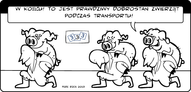 Dobrostan zwierząt w transporcie.