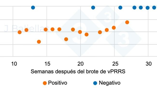 Wykres 1. Zmiany wartości Ct PCR w tygodniach następujących po wybuchu epidemii PRRS

