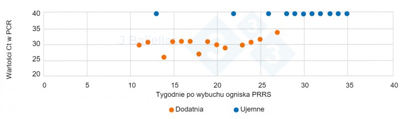 Wykres 1. Zmiany wartości Ct PCR w tygodniach następujących po wybuchu epidemii PRRS
