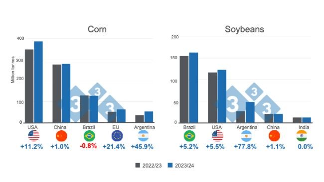 Prognozy dla głównych światowych producentów kukurydzy i soi - sezon 2023/24. Przygotowane przez 333 Latam na podstawie danych FAS - USDA.