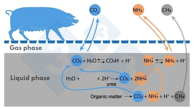 Ryc. 1.&nbsp;Uproszczony schemat reakcji wpływających na emisję NH3 i CH4.
