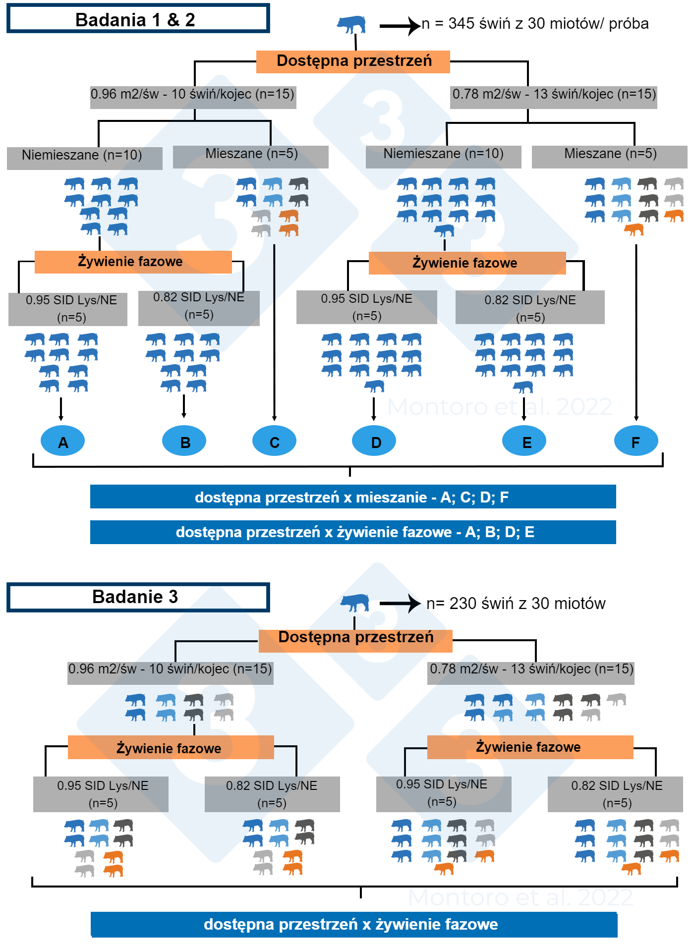 Schematyczna ilustracja projektu eksperymentu
