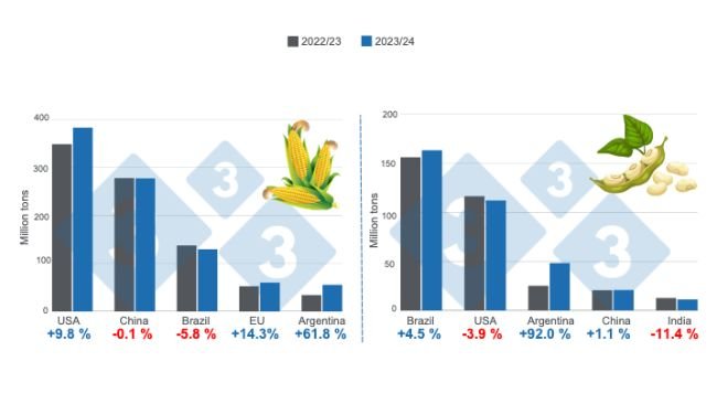 Prognozy zbiorów dla głównych światowych producentów kukurydzy i soi - sezon 2023/24 w porównaniu z sezonem 2022/23. Przygotowane przez 333 Latin America na podstawie danych FAS - USDA.