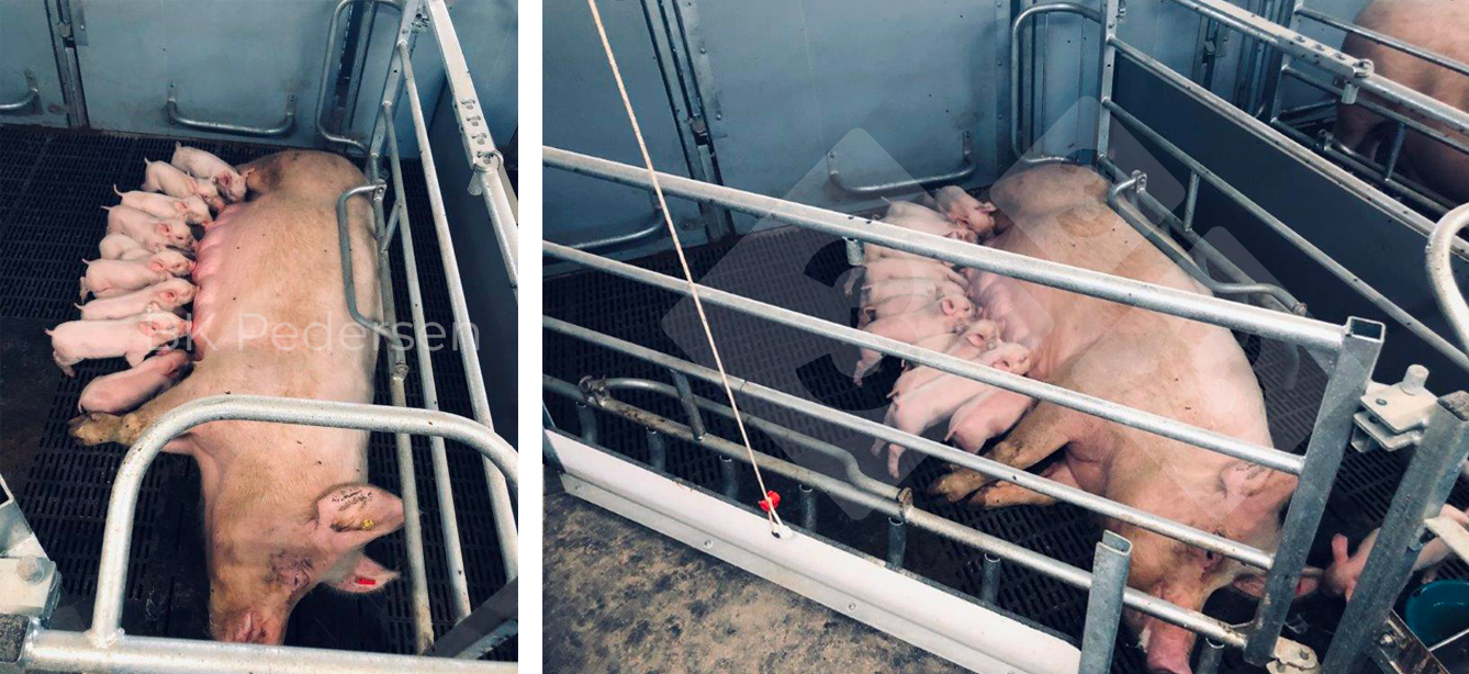 niemieckie kojce porodowe.