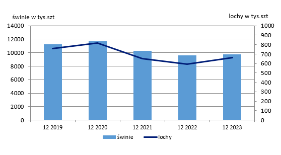 Pogłowie świń w latach 2019-2023. Źródło: Główny Urząd Statystyczny