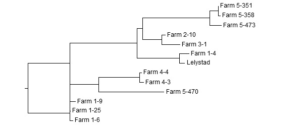 Dendrogram