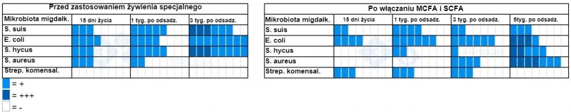 Tabela 2. Liczba dodatnich pr&oacute;bek hodowli przed i po włączeniu MCFA i SCFA.
