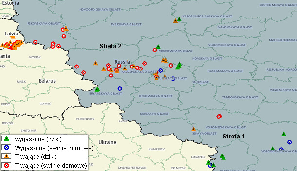 ASF outbreaks in Russia