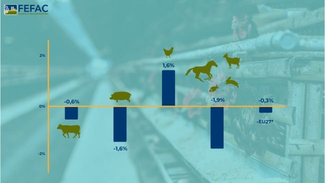 Prognozy dotyczące rocznego procentowego wzrostu lub spadku produkcji mieszanek paszowych w UE do 2024 r.