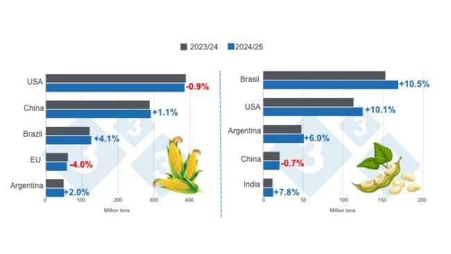 Prognozy zbiorów dla głównych światowych producentów kukurydzy i soi - sezon 2024/25 w porównaniu z sezonem 2023/24 - ostatnia aktualizacja: 11 października 2024 r. Przygotowane przez 333 Latin America na podstawie danych FAS - USDA.
