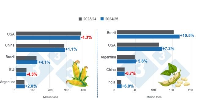 Crop projections for the main world corn and soybean producers - 2024/25 season versus 2023/24 season - last update: November 8, 2024. Prepared by 333 Latin America with data from FAS - USDA. 