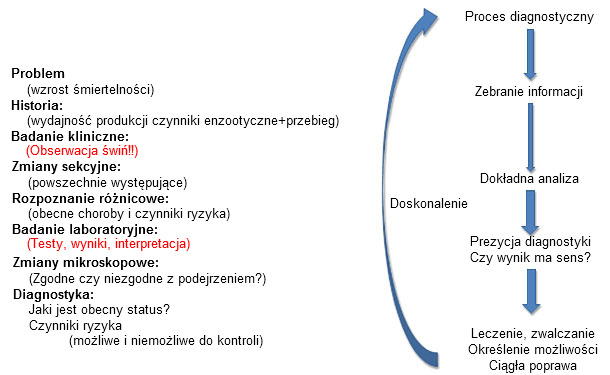 Diagnostic &quot;alignment&quot;: All information should make sense