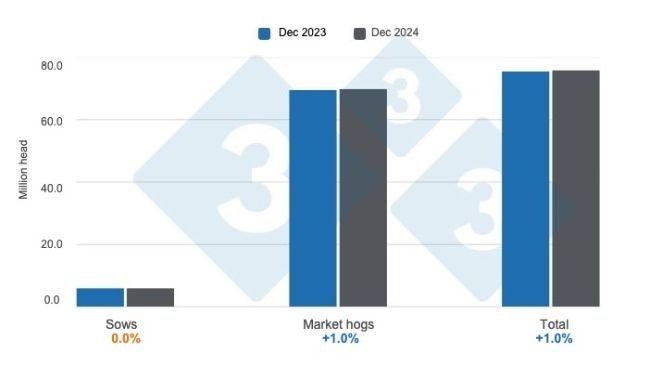Wykres 1: Pogłowie trzody chlewnej w USA na dzień 1 grudnia 2024 r., zmiany roczne. Przygotowane przez 333 Latin America na podstawie danych USDA - NASS.
