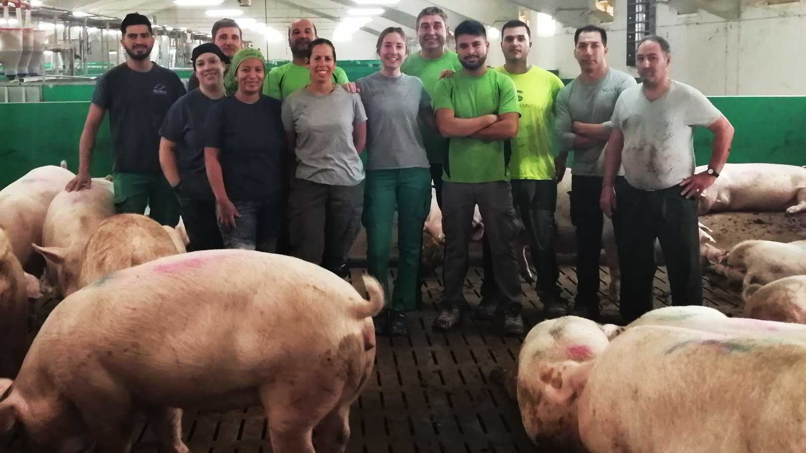 <p>Wpływ ogniska choroby na morale personelu może być znaczący i musi być uwzględniony przez zesp&oacute;ł zarządzający.</p>
