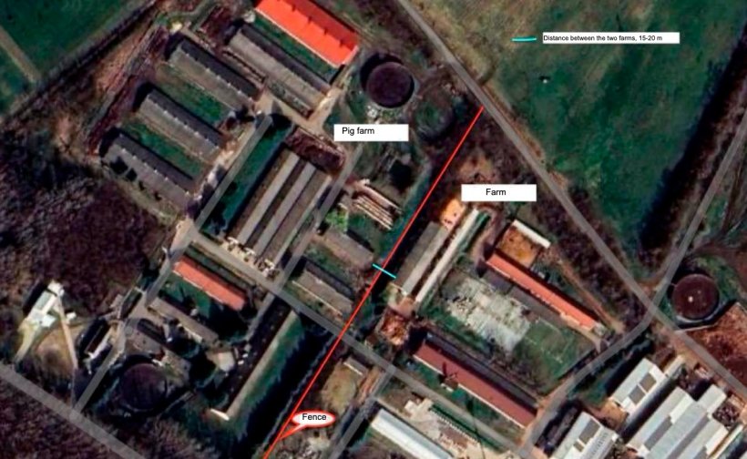Pig farm where 9,888 pigs have been preventively culled.