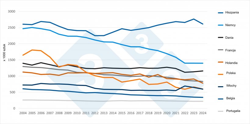 Zmiany liczby loch w gł&oacute;wnych krajach UE produkujących trzodę chlewną (2004-2024). Źr&oacute;dło: 333 na podstawie danych Eurostatu.
